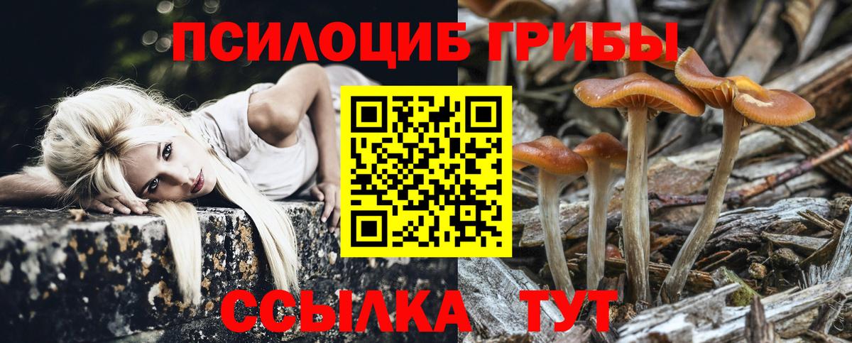 Псилоцибиновые грибы мухоморы Когалым